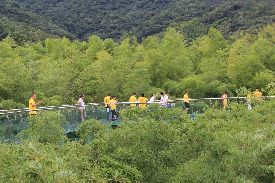 8831566091500677.jpg 8831566091500677.jpg